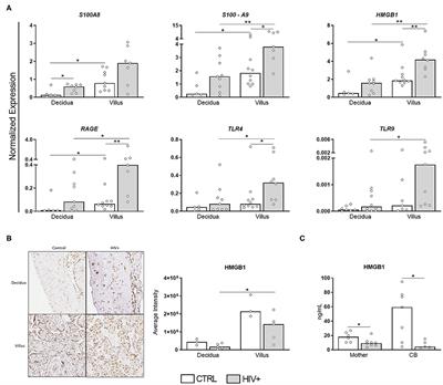 Increased Expression on Innate Immune Factors in Placentas From HIV-Infected Mothers Concurs With Dampened Systemic Immune Activation